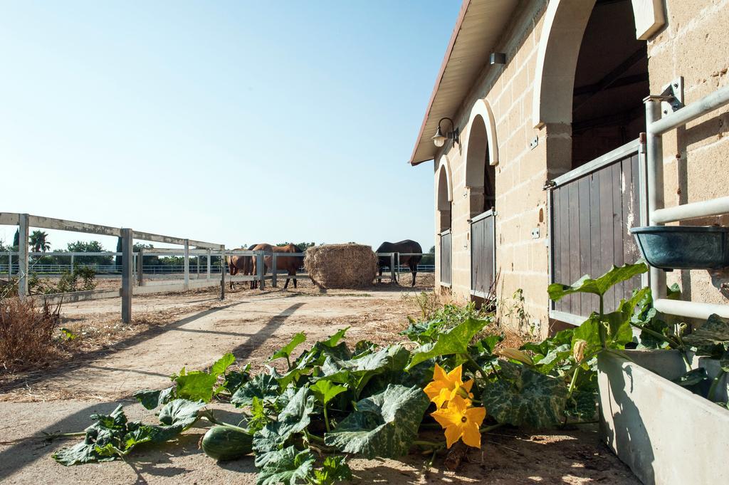 Amaregold Tenuta La Baronessa Resort Tuglie Luaran gambar
